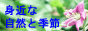 身近な自然と季節 写真集